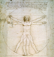 Рисунок Леонардо да Винчи, 1490 год.